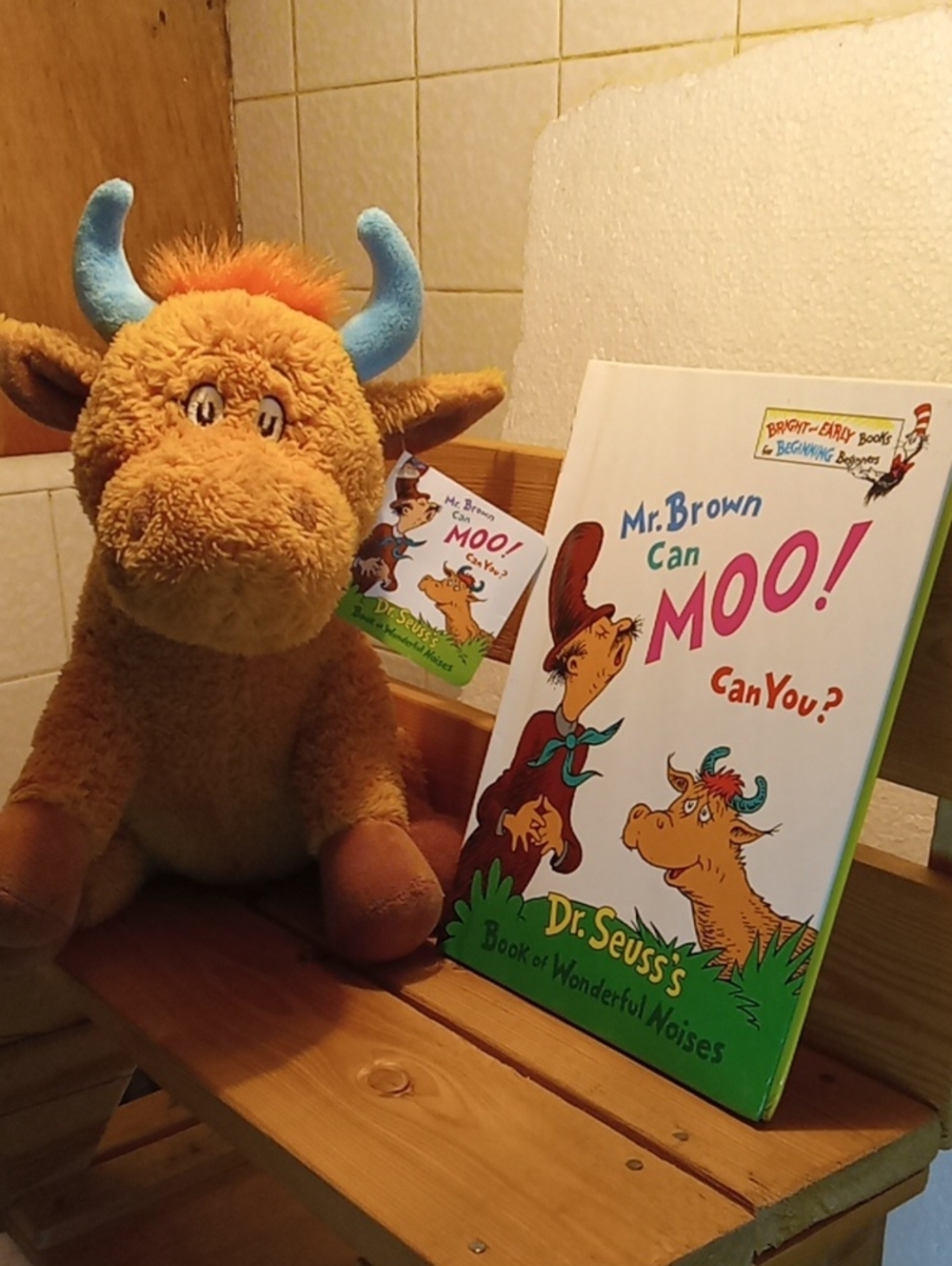 Kohl's Cares Plush Toy Of Mr Brown From The Dr Seuss Book Also With The Book